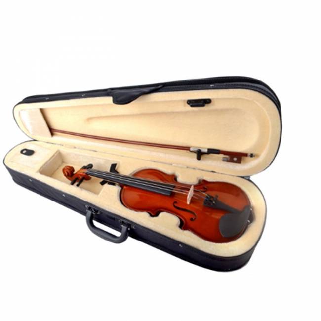 Plywood violin with wood parts