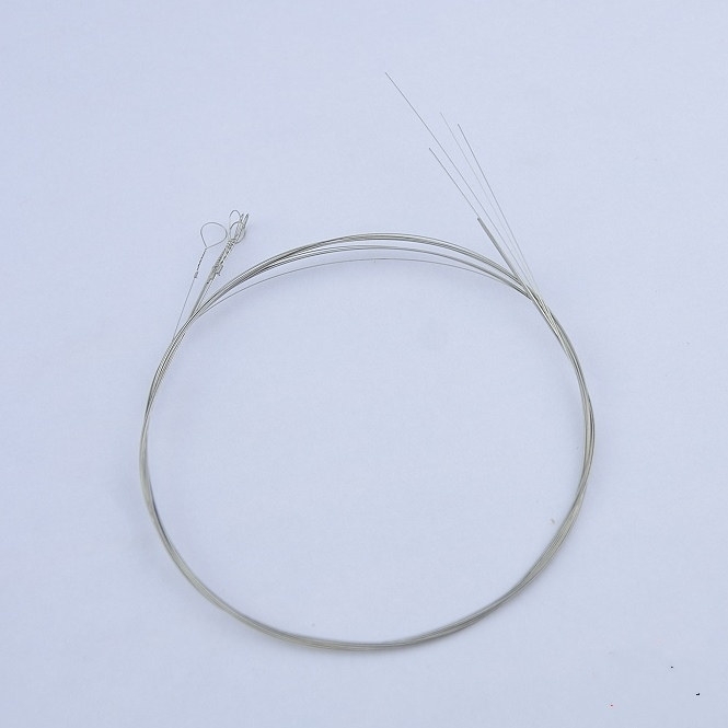 Banjo strings in set