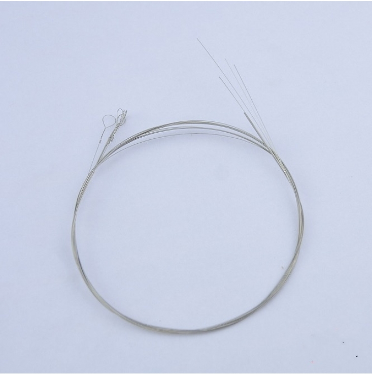 Banjo strings in set